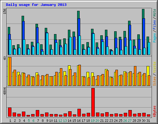 Daily usage for January 2013