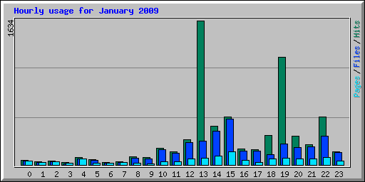Hourly usage for January 2009