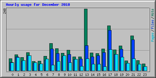 Hourly usage for December 2010