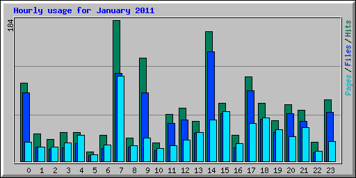 Hourly usage for January 2011