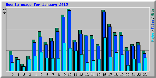 Hourly usage for January 2015