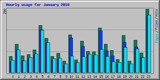 Hourly usage for January 2016